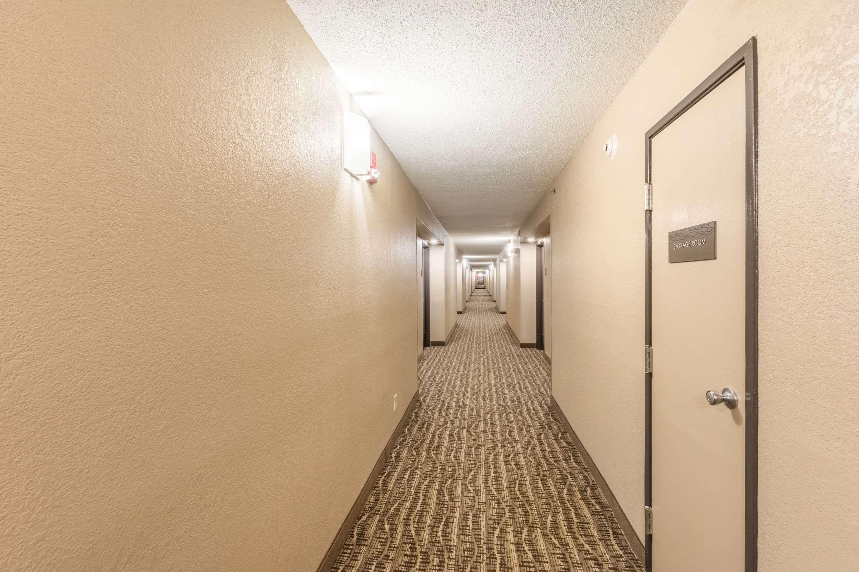 Comfort Inn Charlotte Airport Uptown Bagian luar foto