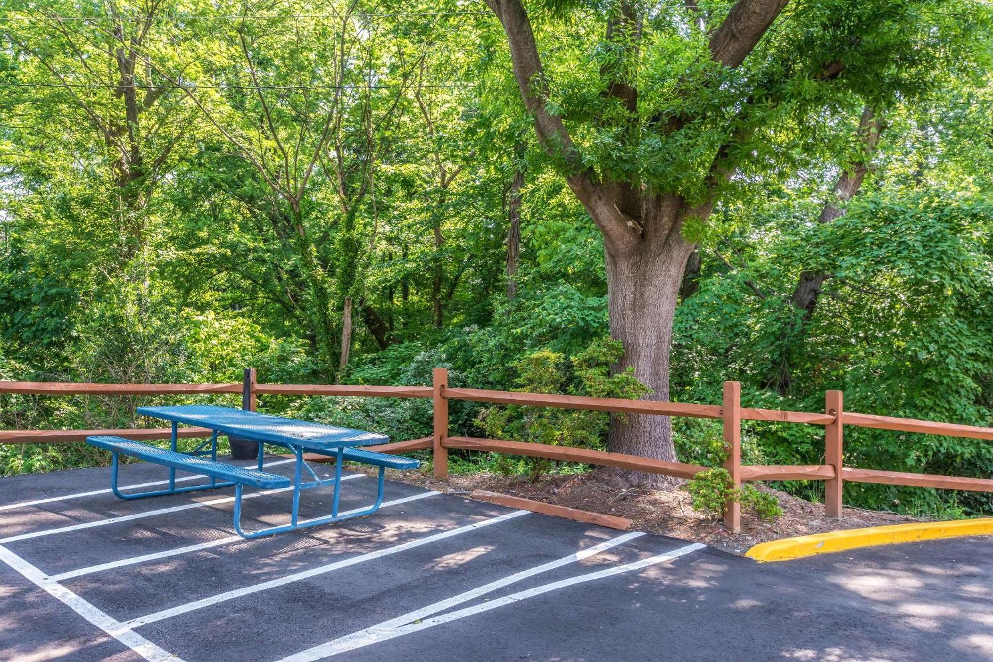 Comfort Inn Charlotte Airport Uptown Bagian luar foto